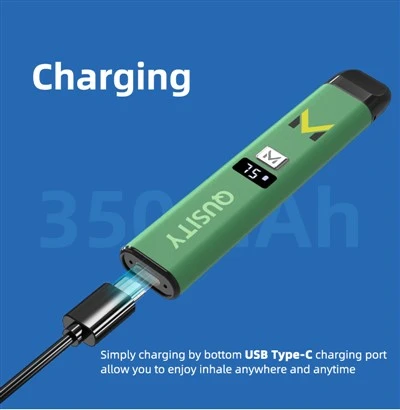 2024 가장 인기 있는 맞춤형 빈 1gram 일회용 Vape 포드 충전식 280mAh 두꺼운 오일 Vape 펜